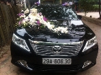 cho thuê xe camry cưới